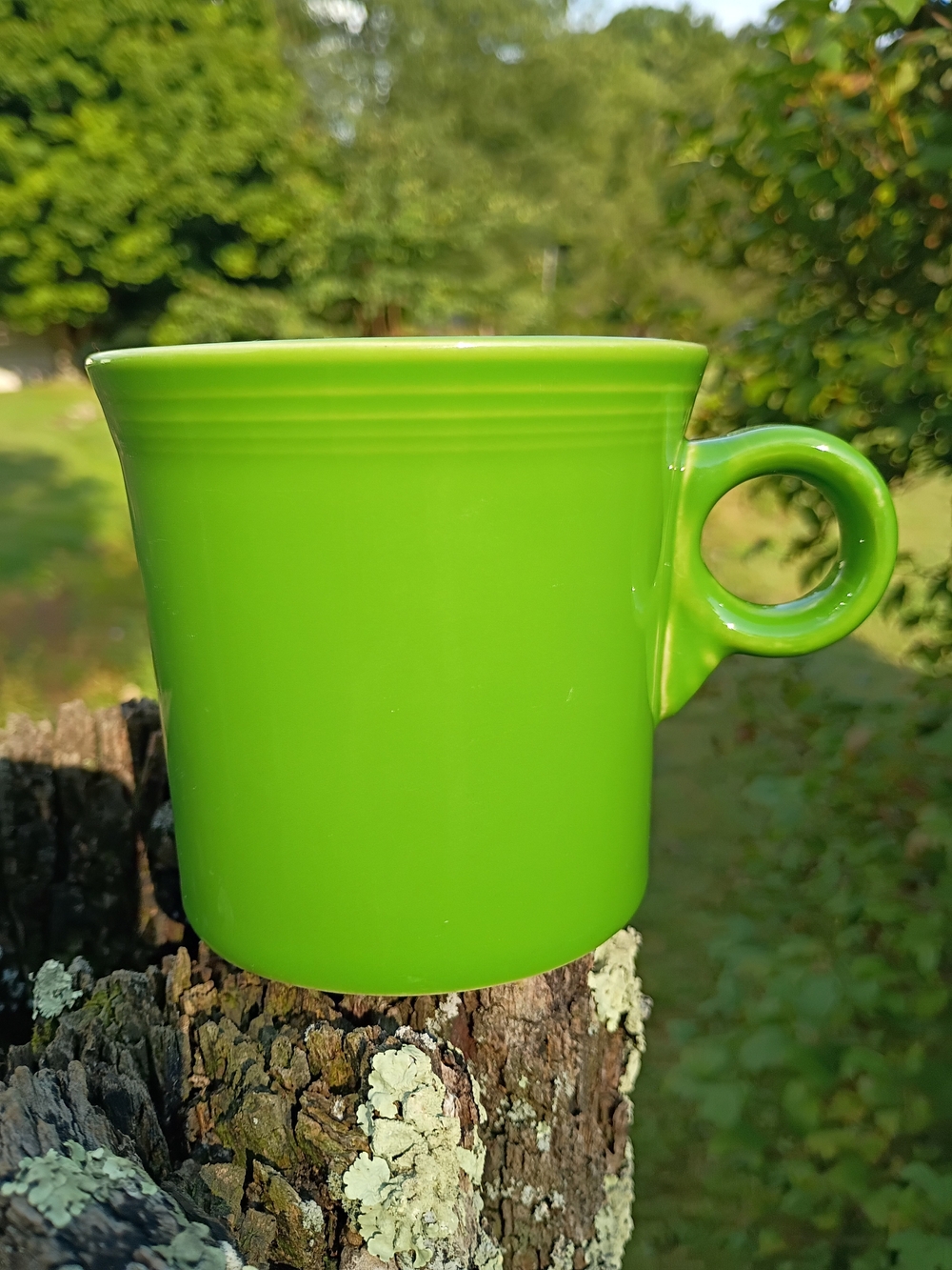 Fiestaware Shamrock Green Tom And Jerry Ring Handle Coffee Tea Mug Fiesta